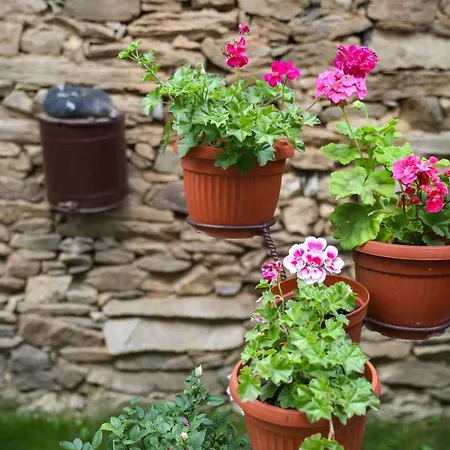 тодорината къща Pensión 3*