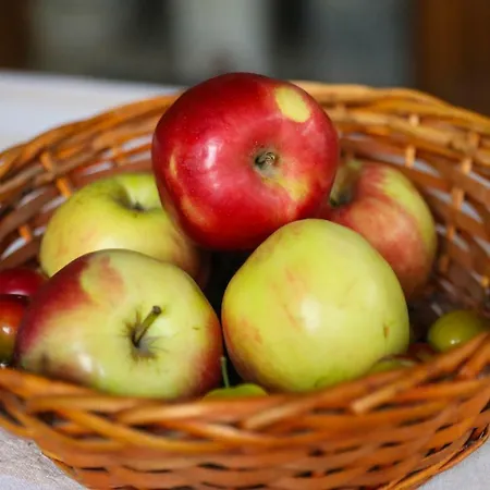 тодорината къща Lešten