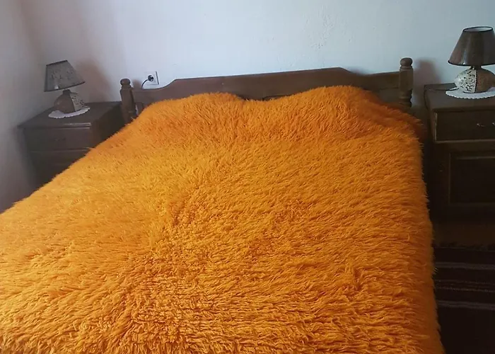 Πανσιόν тодорината къща 3*