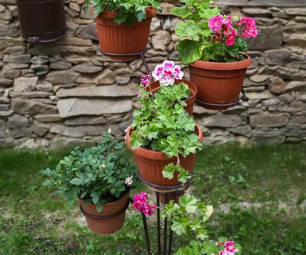 Къща за гости тодорината къща 3*