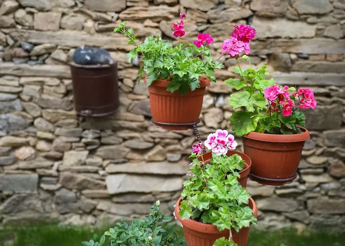 тодорината къща Къща за гости 3*