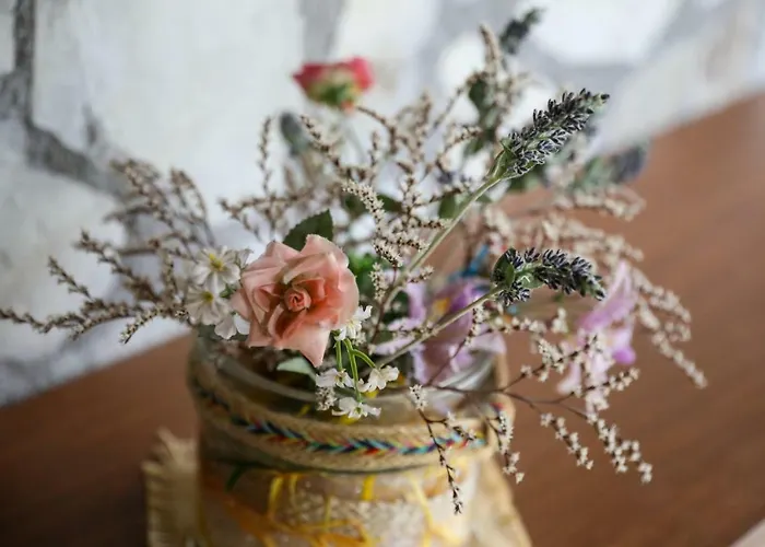 тодорината къща Къща за гости 3*