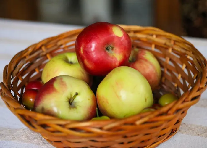 тодорината къща Лещен